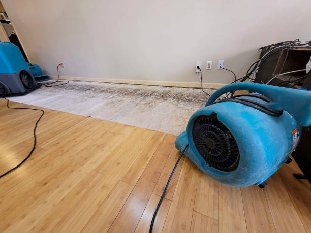 Professional Water Damage Repair technician working in Palmdale, PA